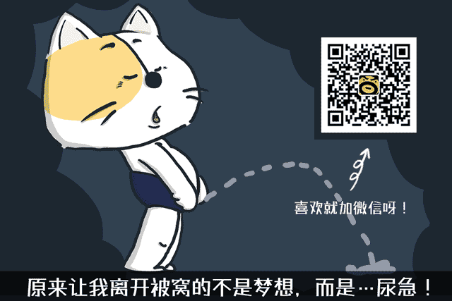 关注 被窝大胃